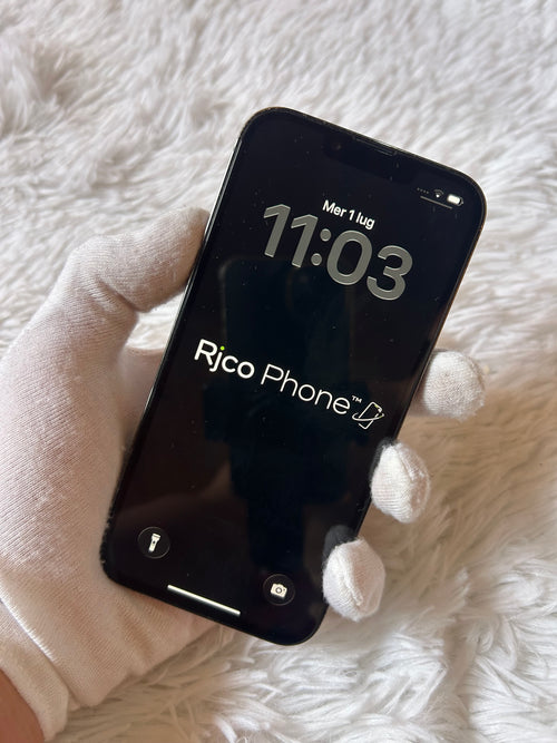 iPhone 13 Pro 256 Gb Graphite - Batteria 100%